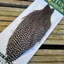 Whiting Hebert Miner Hen Cape in Grizzly